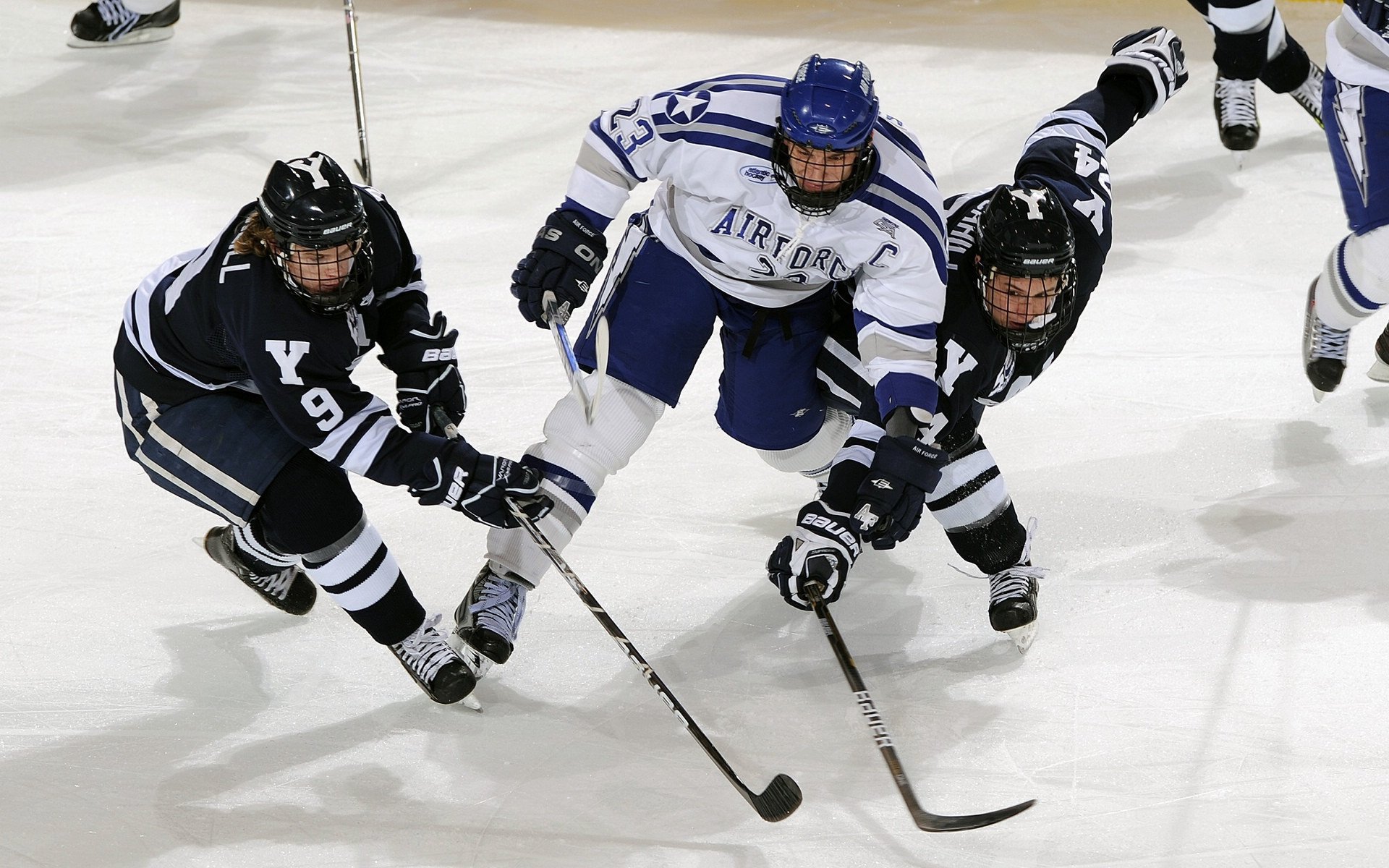 澳女将自由泳爆发堪称关键一击,澳洲自由泳名将
